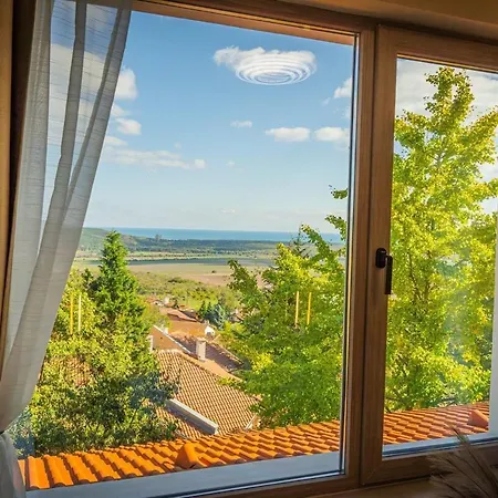 Gerana -beautiful Dreams Rogacsevo